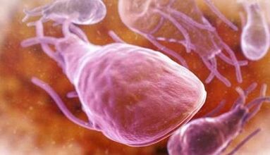 What are parasites in a person's liver